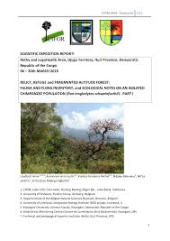 Image result for Landolphia bruneelii