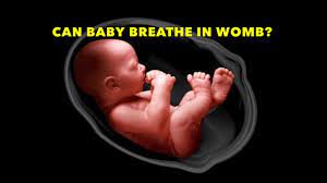 Baby Caught Breathing In Womb 37 Weeks After Birth Video Can You See Baby Breathing In Belly Youtube