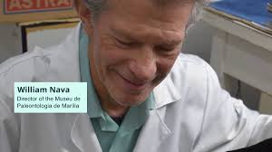 Brain reconstructed from skull fossil of 80-million-year-old bird  'Navaornis hestiae'