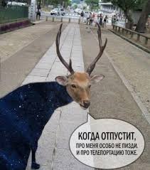 КОГДА ОТПУСТИТ, ПРО МЕНЯ ОСОБО НЕ ПИЗДИ И ПРО ТЕЛЕПОРТАЦИЮ ...