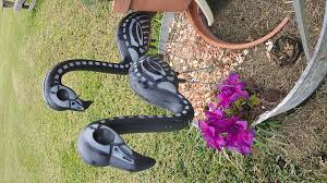 The man in the moon (1991). Undead Flamingos Photograph By Emily Warfield