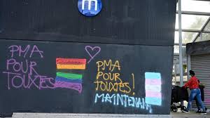L'examen de la loi sur #pmapourtoutes a été repoussé encore et encore. Pma Pour Toutes Les Senateurs C Est Une Bande De Vieux Reac Les Lesbiennes Et Celibataires Sont Ecoeurees