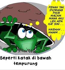 Kami beri peribahasa dan penjelasan untuk seribuan peribahasa. Aku Kah Itu Sang Katak Ini
