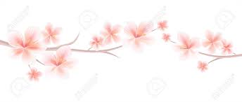 Product names product images check price; Branches Of Sakura With Light Pink Flowers Isolated On White Background Sakura Flowers Cherry Blossom Vector Illustration Royalty Free Cliparts Vectors And Stock Illustration Image 97945929