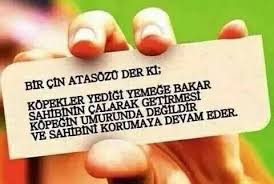 Turkulu Yurekler Bir Cin Atasozu Der Ki Kopekler Yedigi Yemege Ba Deri Atasozleri Cin