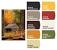 Rustic Home Exterior Color Schemes
