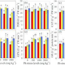 Pdf The Combined Effects Of Arbuscular Mycorrhizal Fungi Amf And Lead Pb Stress On Pb Accumulation Plant Growth Parameters Photosynthesis And Antioxidant Enzymes In Robinia Pseudoacacia L