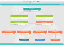 Free Download Hospital Organizational Charts