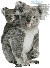 This pdf file counted cross stitch pattern is available for instant download. Cross Stitch Patterns Australia Counted Cross Stitch Pattern Koala Bear Animals Crafts Citricauca Com