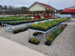 Maybe you would like to learn more about one of these? Carolina Farmers Market Home Facebook