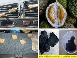 Dari kedua cara tersebut, yang paling sering pria dewasa gunakan adalah solusi pertama. 6 Cara Paling Rare Hilangkan Bau Durian Pada Kereta Tak Ada Bau Langsung Remaja