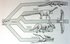 Resultado De Imagen Para Arcosaurios Phylogenetic Tree