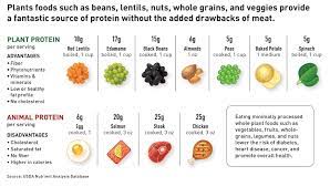 • animal proteins are usually more expensive than plant proteins are. Nutrition Plant Vs Animal Protein Dr Hillel Harris Primary Md Lifestyle Center Health Care