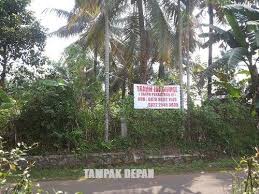 Bunga majemuk berwarna putih, ungu kekuningan. Tanah Bogor Publications Facebook