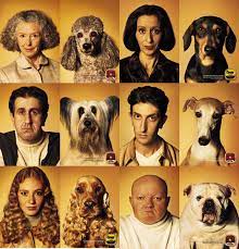 What Makes People Look Like Their Dogs Science Has The Answer