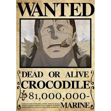 You will get the poster you want with the picture, name, and the amount you choose. Poster Buronan One Piece Shicibukai 7pcs Shopee Indonesia