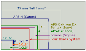 aps c vs 35mm real life dslr sensor comparison digital