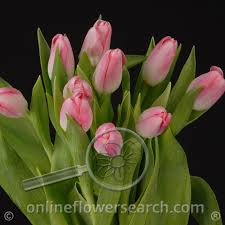 If you are looking for the perfect living room furniture, bedroom furniture, dining room furniture, home office furniture, or home decor, rc willey will be able to help. Ensign Wholesale Floral Quality Service Value Trust Communication Always