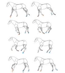 Digital course design is a drawing program for course designers for jumping, but is also very useful for horse driving (obstacle driving / cones). Sketchbook Original How To Animate Horses Monika Zagrobelna