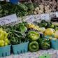 SJCO Farmers Market  — St. Johns Center for event image
