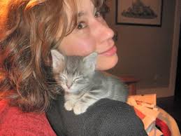 Snowdrift, the lost cat that didn't really want to be found