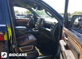 Image result for Power Tan 2020 Ram