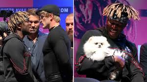 Logan started his career as a vine creator and began creating youtube videos following vine's closing. Ksi Brings Dog Identical To Logan Paul S Dead Pet To Press Conference Metro News