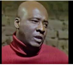 🦊 Sanford and Son 👊🏽🚚