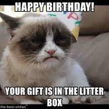 Top 100 Funniest Happy Birthday Memes Most Popular Grumpy Cat Birthday Happy Birthday Cat Grumpy Cat Meme