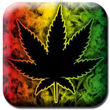 10.0 / 10 action , simulation , weed shop. Weed Shop The Game Apk 2 71 Download For Android Download Weed Shop The Game Apk Latest Version Apkfab Com