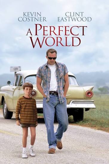 Perfect World, A DVD