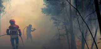El incendio del algarve (sur de portugal), desatado el pasado viernes, se ha estabilizado este jueves al disminuir la intensidad de los frentes del fuego, que alcanza un perímetro de 100. Portugal Es Ceniza
