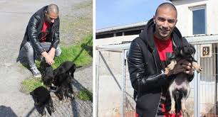 Gokhan Inler In Hayvan Sevgisi Sinir Tanimiyor Trt Spor Turkiye Nin Guncel Spor Haber Kaynagi