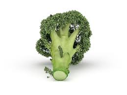 Green Broccoli Vegetable 3d Model Broccoli Vegetable Broccoli Vegetables
