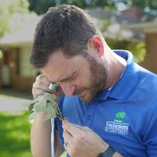 Grapevine Tree Health Care