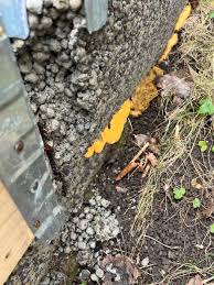 Image result for site:byggahus.se lecablock