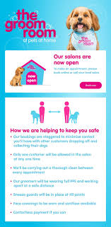 Hair salons offer a wide array of cosmetic services for men and women. M1lbhy4ykd9wim