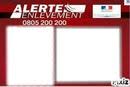 29 enfants concernés (certaines alertes concernaient plusieurs enfants). Montage Photo Alerte Enlevement Pixiz