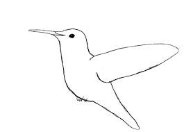 We did not find results for: How To Draw A Hummingbird Draw Central