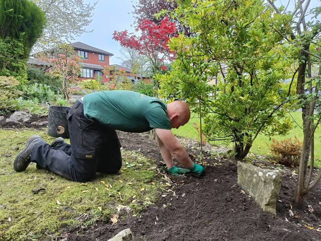 Green waste sorted for recycling collection in Bromley