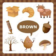 A bear, a boat, fall leaves, acorns, table and chair. Learn The Color Brown Things That Are Brown Color Royalty Free Cliparts Vectors And Stock Illustration Image 41109003