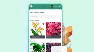 The app is developed not by ordinary people, but by scientists from research organizations in france. 10 Best Plant Apps And Flower Identification Apps For Android