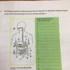 Kunci jawaban ipa kelas 9 halaman 27 soal latihan gaya lorentz wali kelas sd from www.walikelassd.com. Yang No 3 Hal 27 Ipa Kelas 7 Semester 2 Brainly Co Id