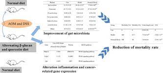 Alternating Consumption Of B Glucan And Quercetin Reduces Mortality In Mice With Colorectal Cancer Qi 2019 Food Science Amp Nutrition Wiley Online Library