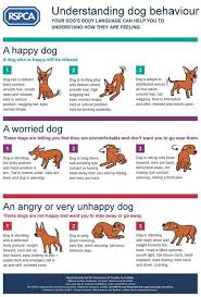 Dog Body Language Chart Decoding Behavior Dog Body