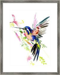 Flying Hummingbird Blue Peach Colors Framed Print By Suren Nersisyan Acrylic Prints Blue Peach Framed Prints