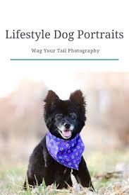 We want to be your dog's home away from home, and we invite you to experience the wagging tails difference. The Pet Place St Croix Petslover