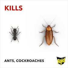 The terro ant and roach bait station has 2 baits in one station. Raid Ant Cockroach Killer 300ml Sainsbury S