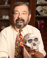 Anthropologist Mann builds body of evidence with evolution studies