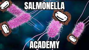 Salmonella infection (salmonellosis) is a common bacterial disease that affects the intestinal tract. Sammy O Nella Memes